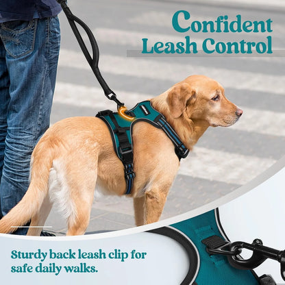 Dog Harness, No Pull Pet Harness with 2 Leash Clips, Adjustable Soft Padded Dog Vest, Reflective Outdoor Pet Oxford Vest with Easy Control Handle for Small Dogs, Blue Coral